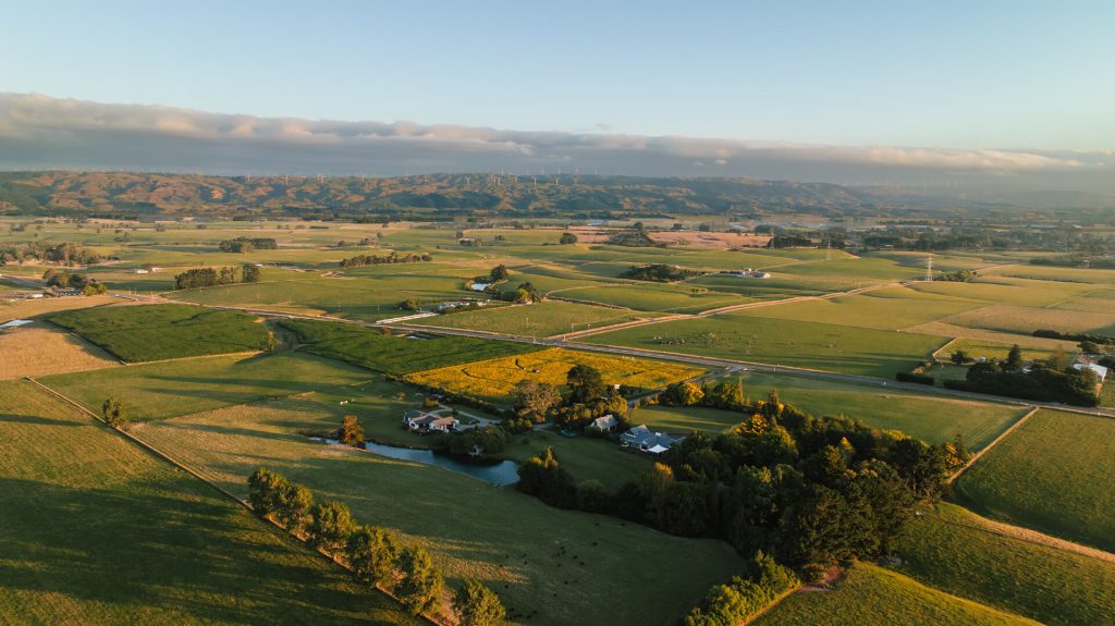 Stewarts Farm - CEDA Case Study